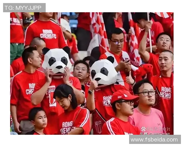 成都排球队意识争议引发热议球迷与专家观点碰撞激烈