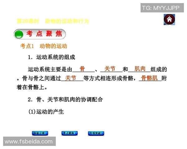 西安极限运动队中路突破战术解析与实践探讨 西安极限运动队中路突破战术解析与实践探讨